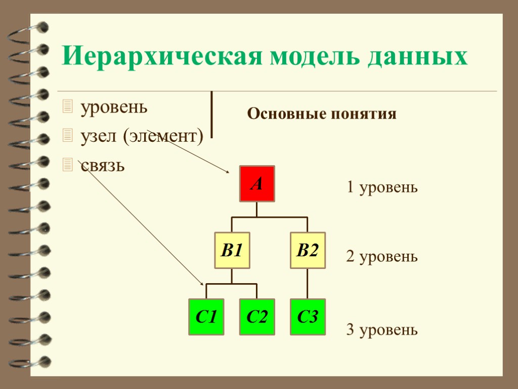 Что такое иерархическая модель организации данных объясните ее суть на примере каталога файловой